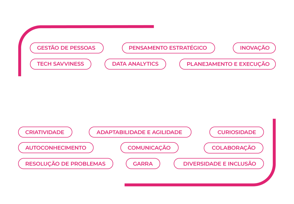imagem referente aos pontos de uma liderança, Business skills e human skills